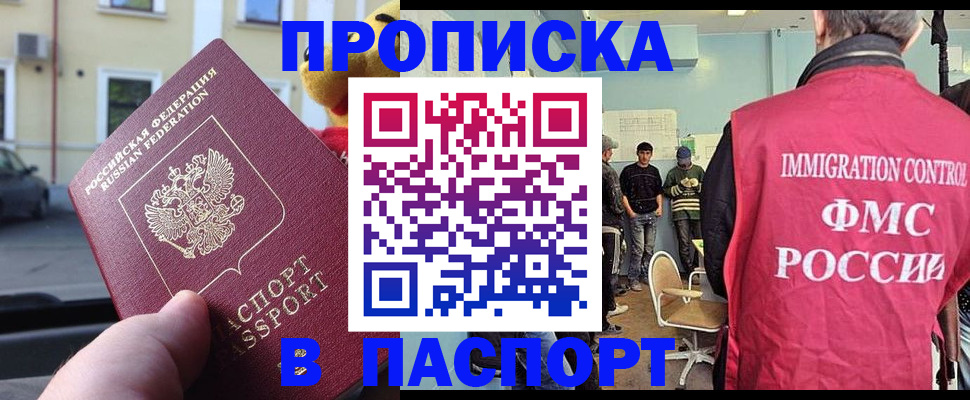 временная регистрация поиск в Палласовке